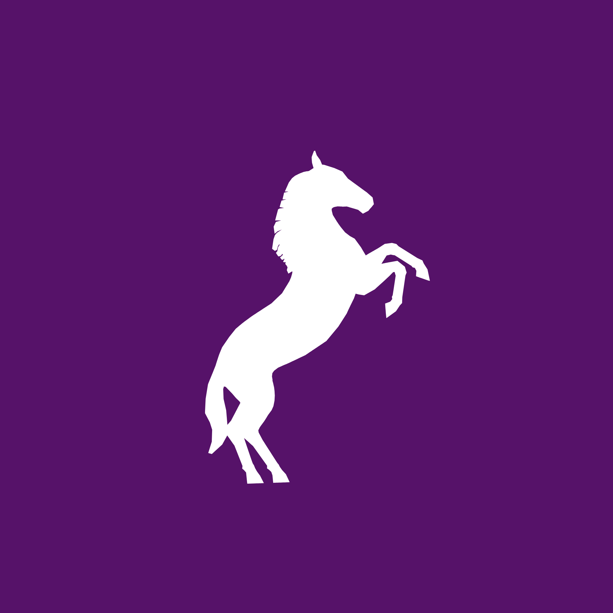 Konina